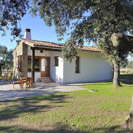 Finca Las Abubillas Jaraicejo Kamer foto