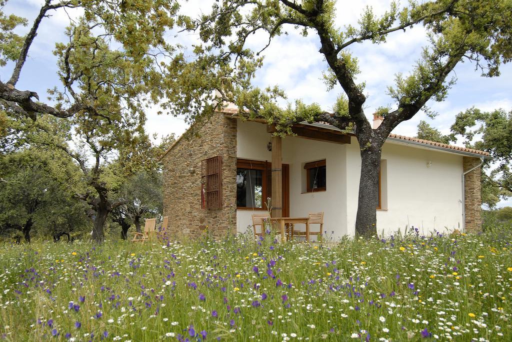 Finca Las Abubillas Jaraicejo Buitenkant foto